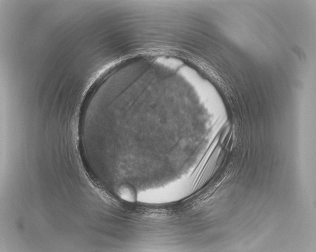 X0000115370438200912011136