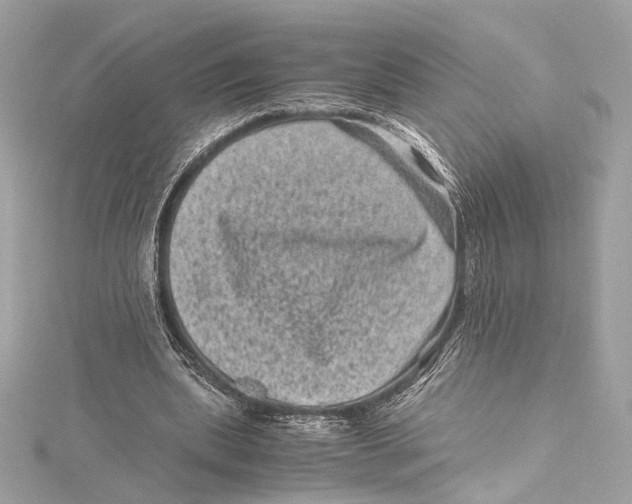 X0000115370439200912011136