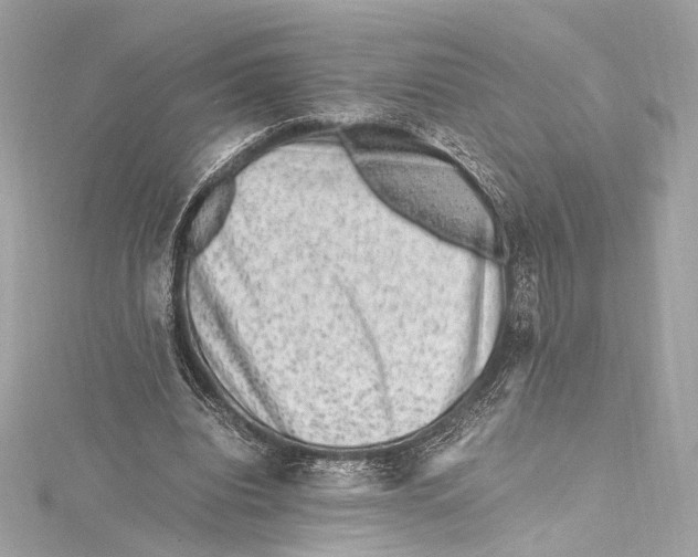 X0000115370440200912011136