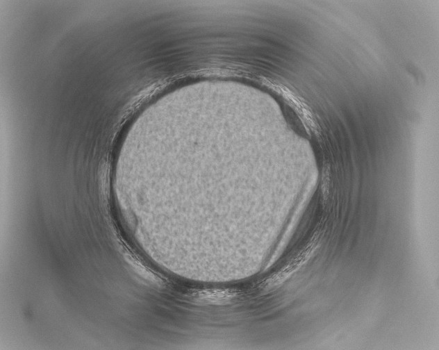 X0000115370445200912011136