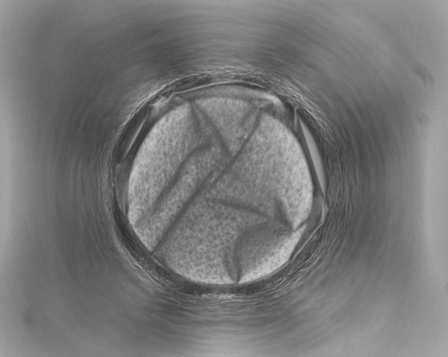 X0000115370448200912011137