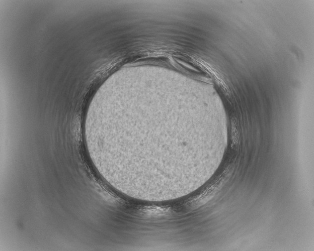 X0000115370453200912011137