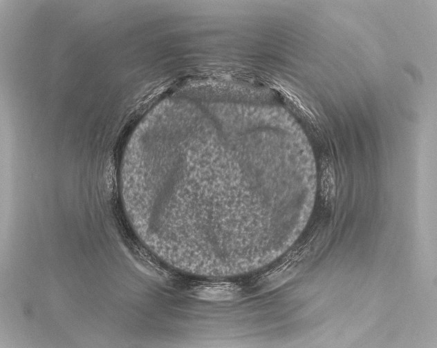 X0000115370459200912011137