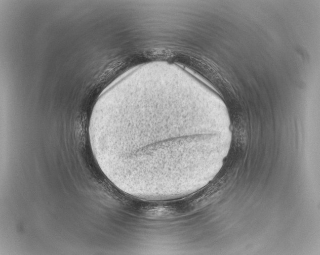 X0000115370460200912011137