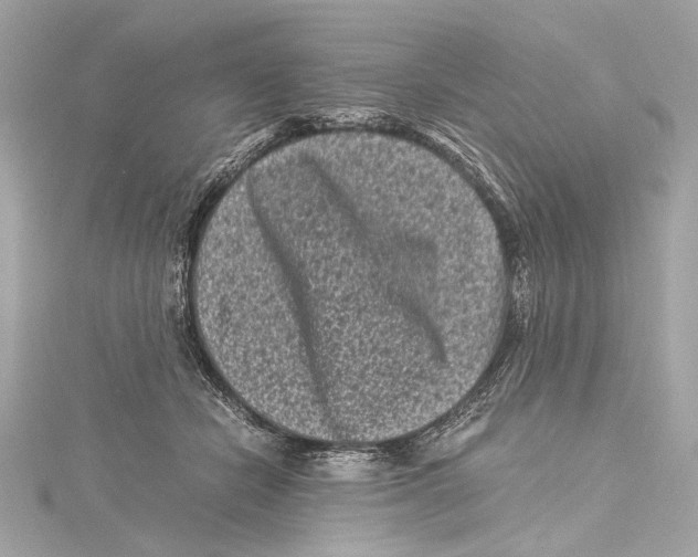 X0000115370462200912011137