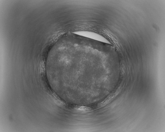 X0000115370467200912011137