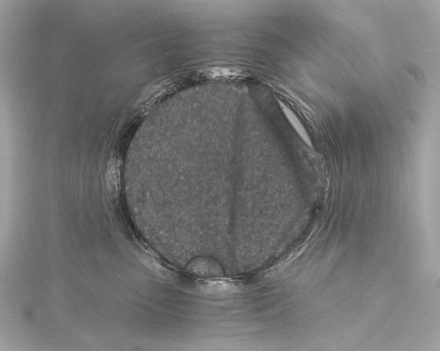 X0000115370475200912011137