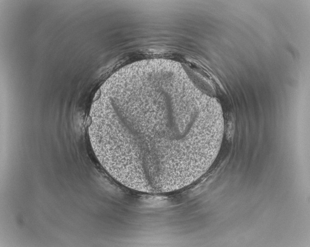 X0000115370476200912011137