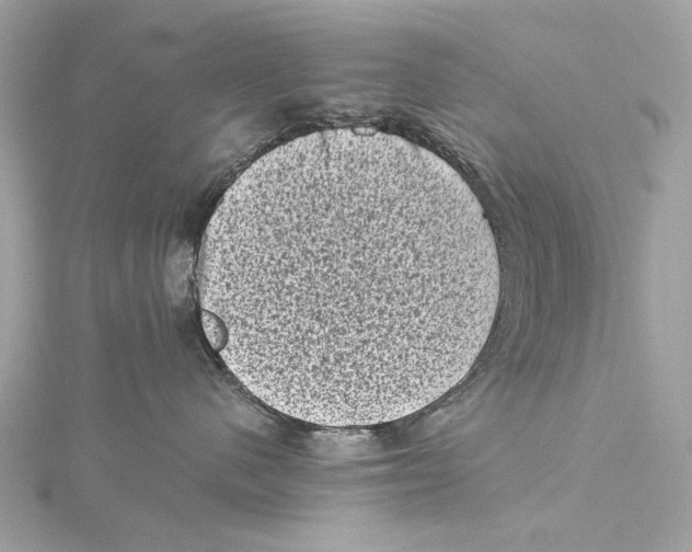 X0000115370480200912011137