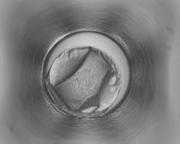 X0000115370484200912011136