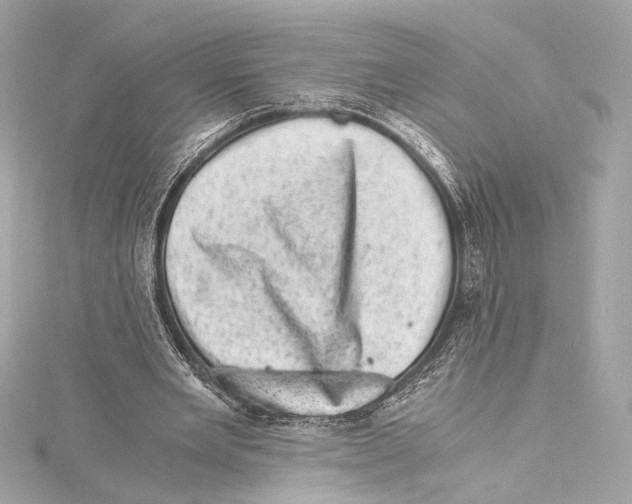 X0000115370485200912011136