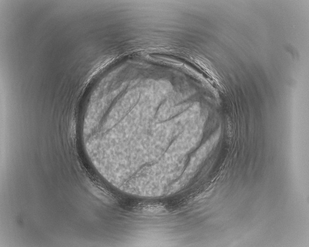 X0000115370491200912011136