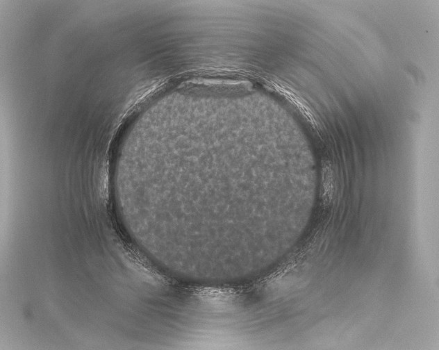 X0000115370494200912011136