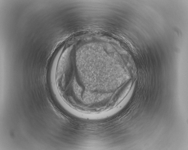 X0000115370496200912011136