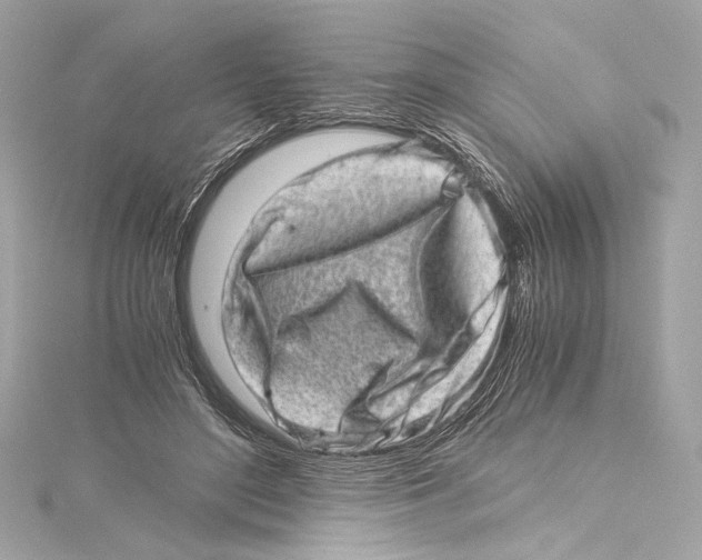 X0000115370500200912011136
