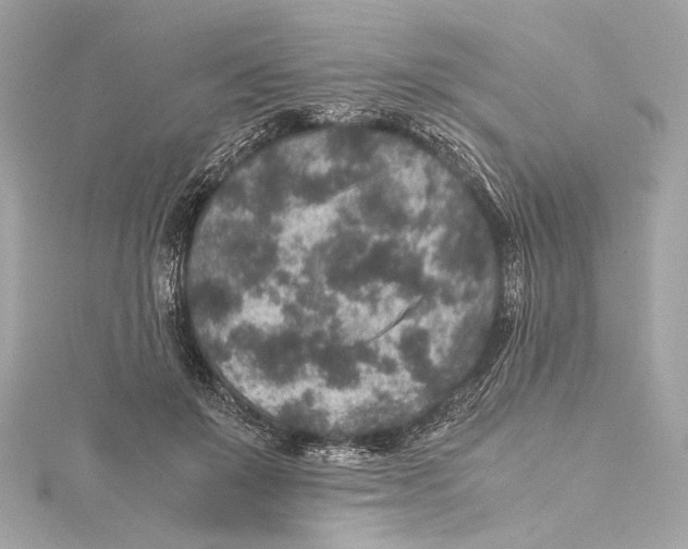 X0000115370503200912011136