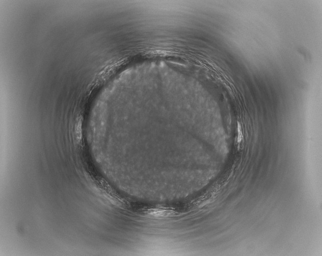 X0000115370504200912011136