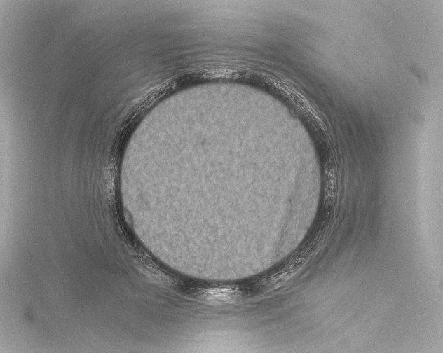 X0000115370505200912011136