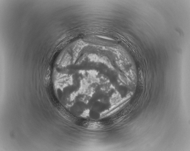 X0000115370507200912011136