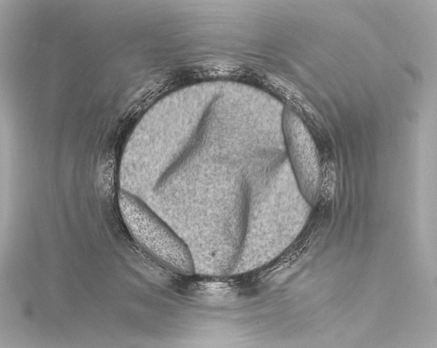 X0000115370509200912011136