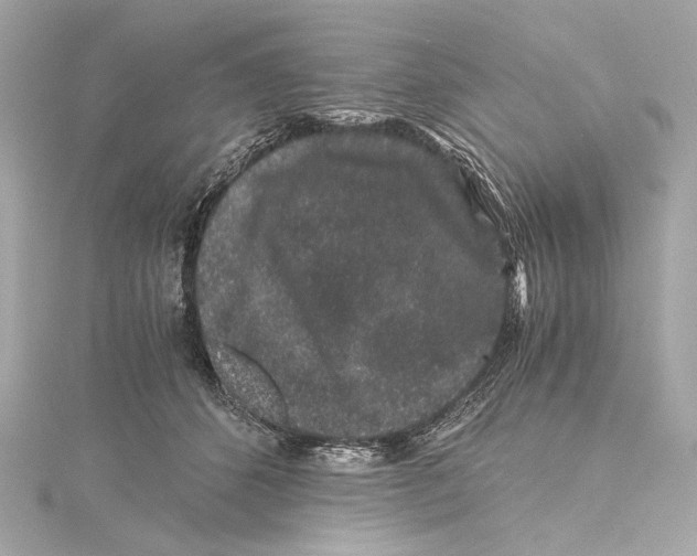X0000115370512200912011136