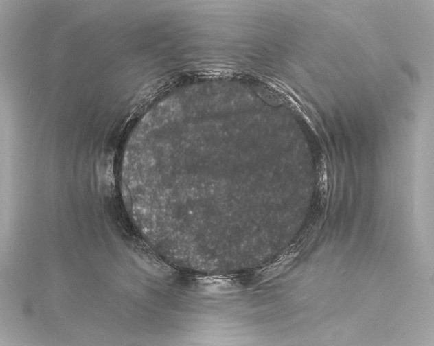 X0000115370516200912011136