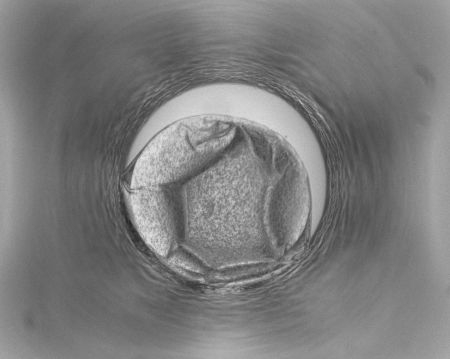 X0000115370517200912011136