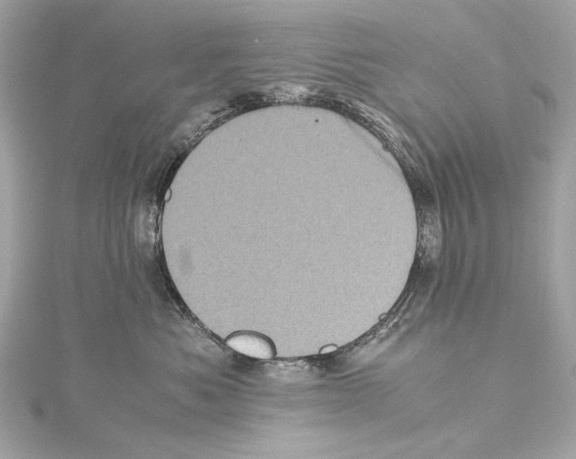X0000115370525200912011136