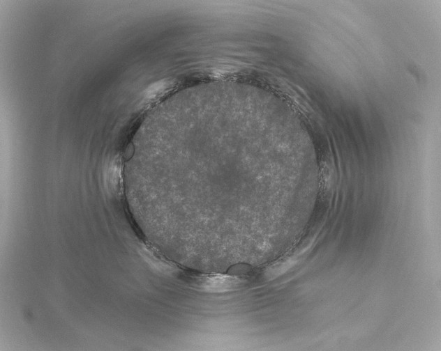 X0000115370527200912011136