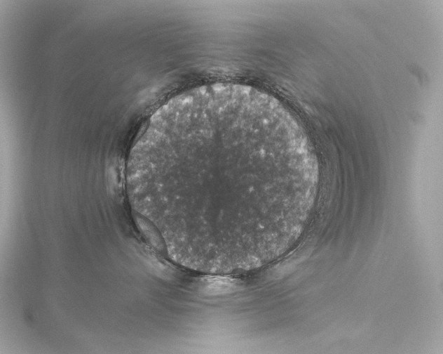 X0000115370528200912011136