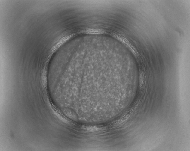 X0000115370533200912011135