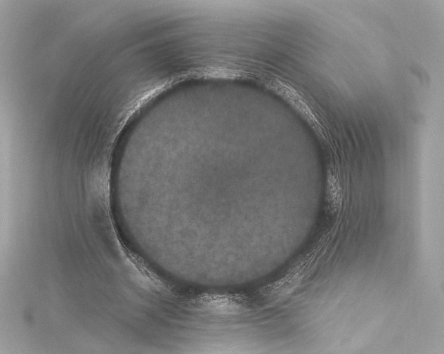 X0000115370534200912011135