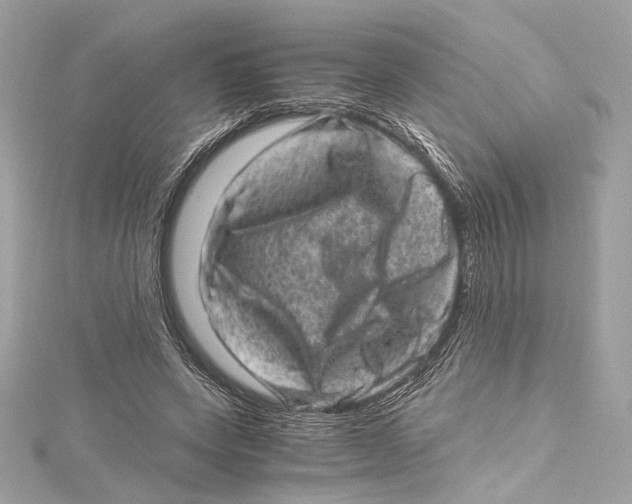X0000115370543200912011135