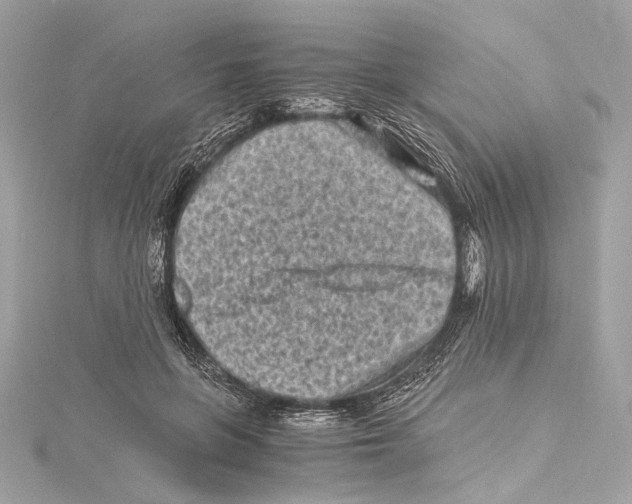 X0000115370551200912011135