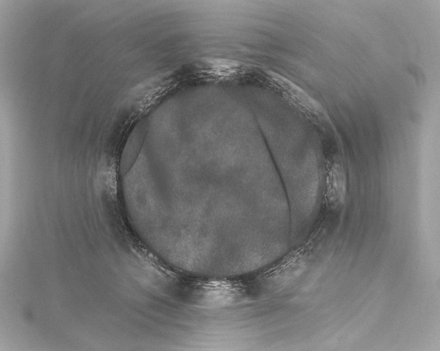 X0000115370562200912011136