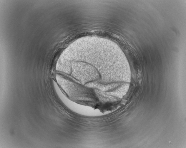 X0000115370566200912011136