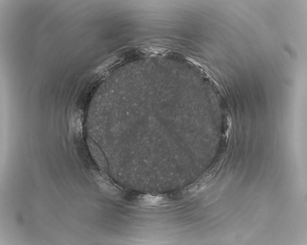X0000115370570200912011136