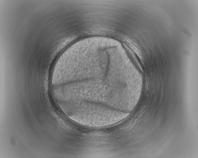 X0000115370578200912011135