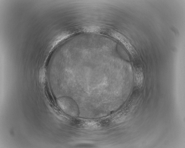 X0000115370583200912011135