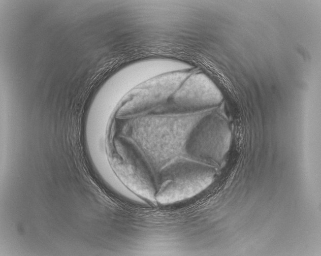 X0000115370593200912011135