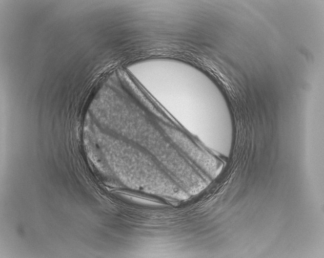 X0000115370597200912011135