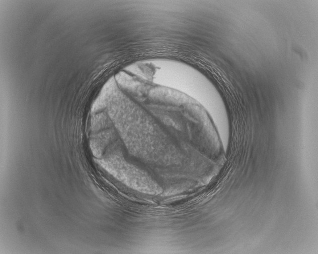 X0000115370599200912011135