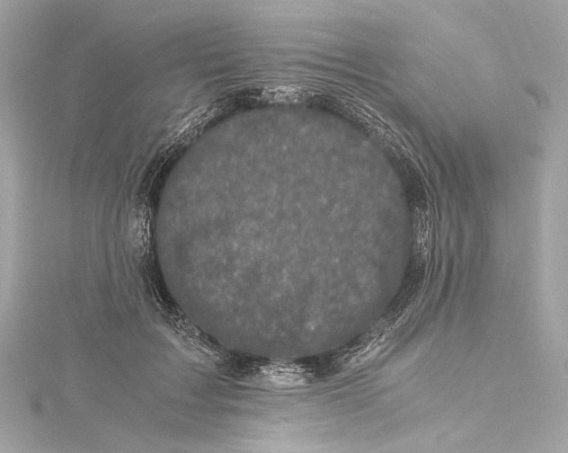 X0000115370603200912011135