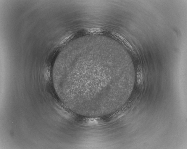 X0000115370618200912011135