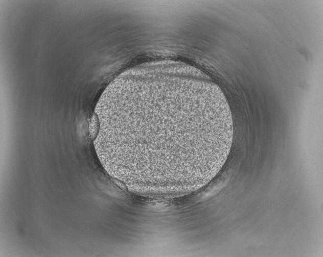 X0000115370624200912011134