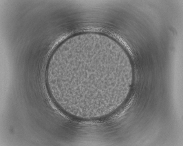 X0000115370625200912011134