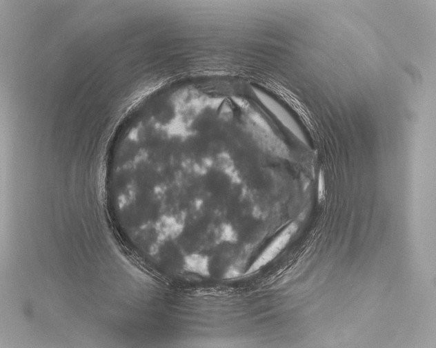 X0000115370627200912011134