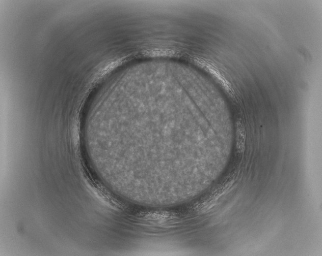 X0000115370631200912011134
