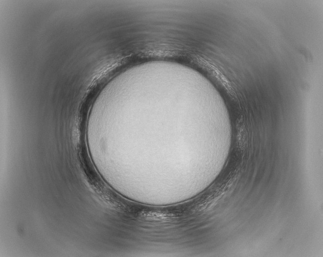 X0000115370635200912011134