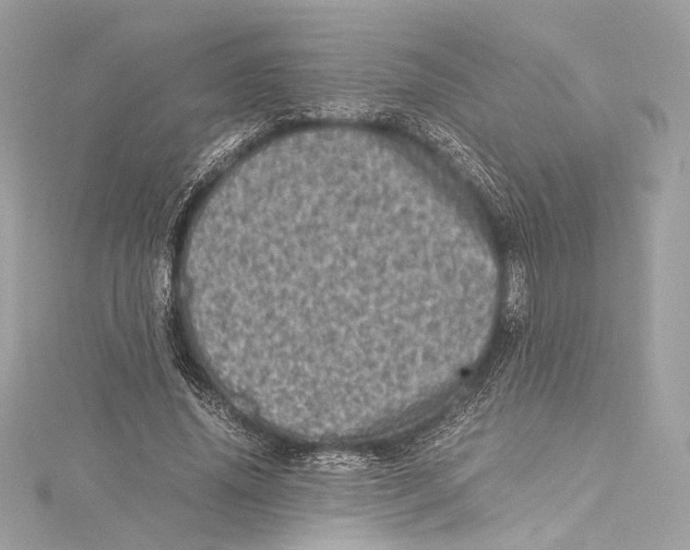 X0000115370636200912011134